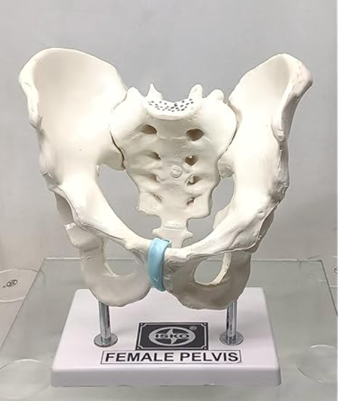 IPCM Additive Manufacturing System